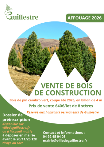 Vente bois construction
