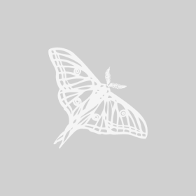 Guillestre Papillon