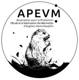 APEVM